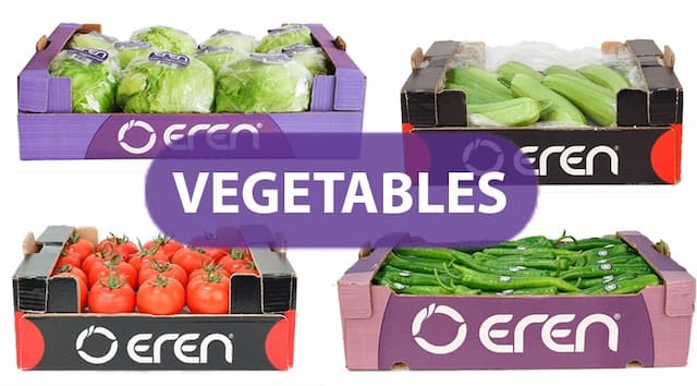 A representation of our fresh vegetables product group packed inside our companies boxes ready for export